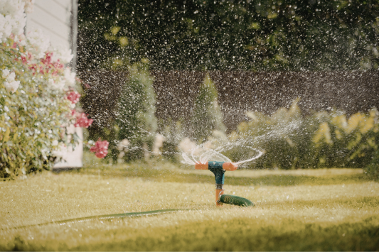 How to Prepare Your Garden for a Year with Less Water: A Guide to Drought-Resistant Plants